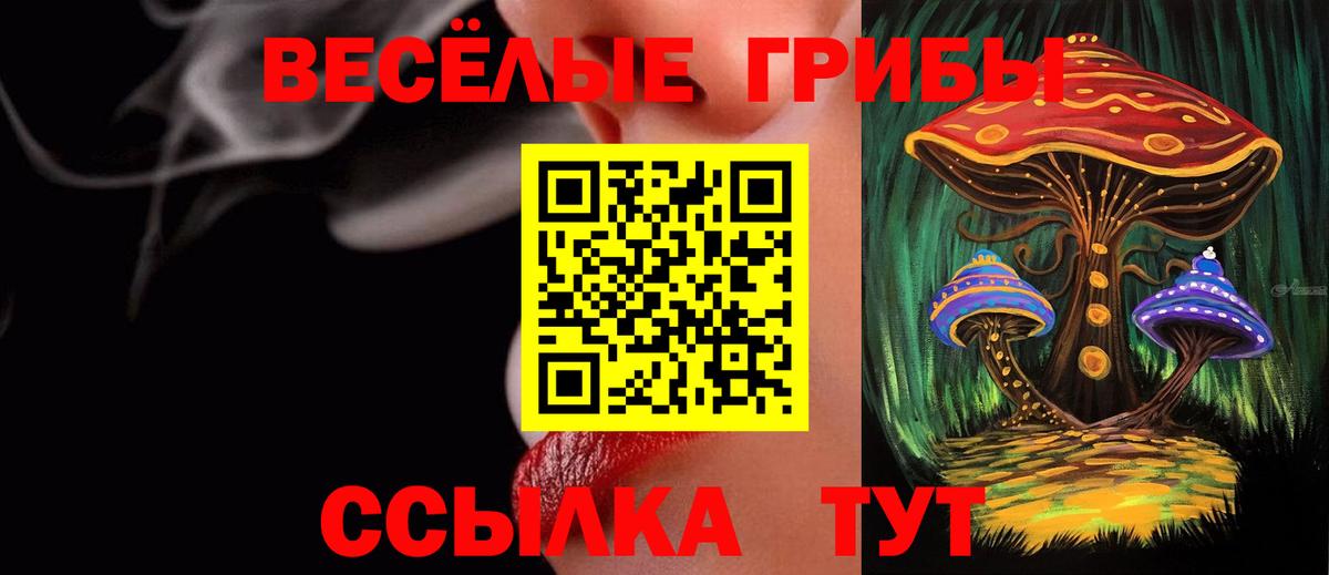 Можайск  Псилоцибиновые грибы мухоморы  Вход с VPN 