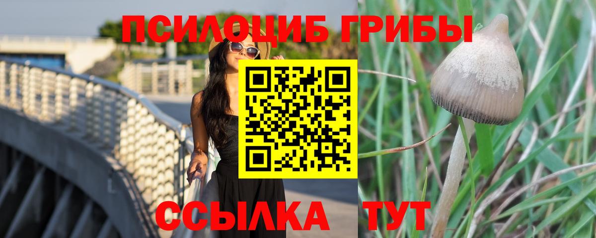 Кодеин  ГАШ  Можайск  ЭКСТАЗИ  Каннабис  Меф МЯУ МЯУ   COCAIN  Вход с VPN 